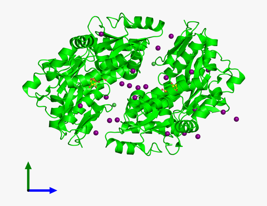 Crystal Structure Glucose Oxidase Aspergillus Niger, Transparent Clipart
