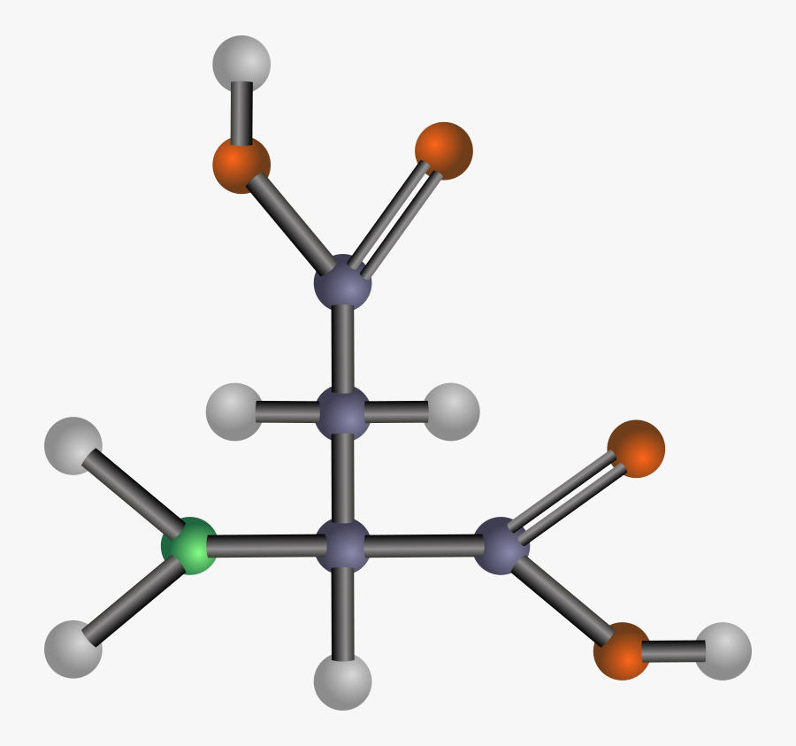 Aspartic Acid - Amino Acid Clipart, Transparent Clipart