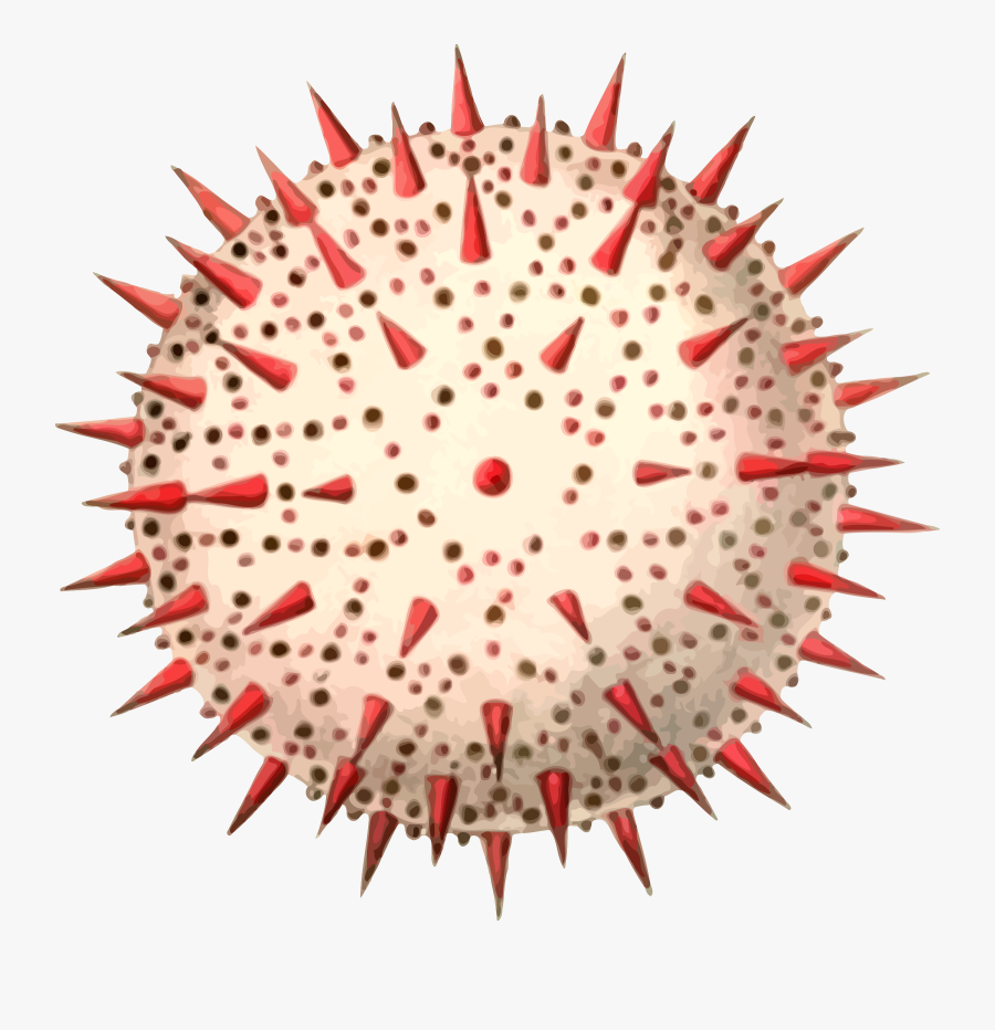 Clip Art Pollen Clipart - Public Domain Cactus Illustration, Transparent Clipart