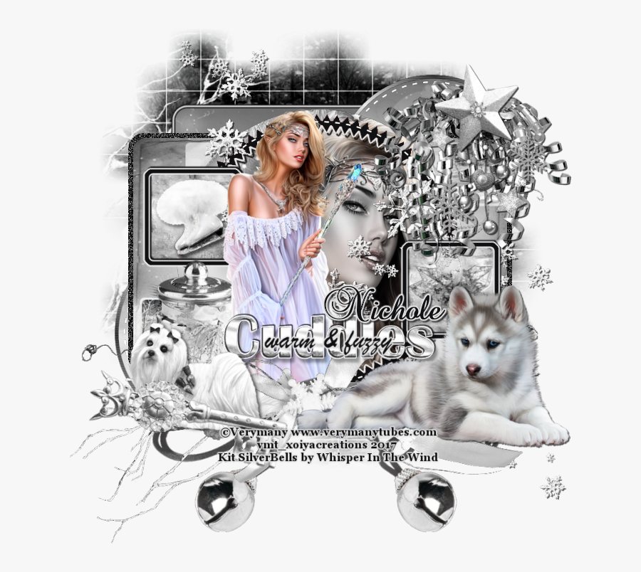 Silver Bells By Whisper In The Wind - Miniature Siberian Husky, Transparent Clipart