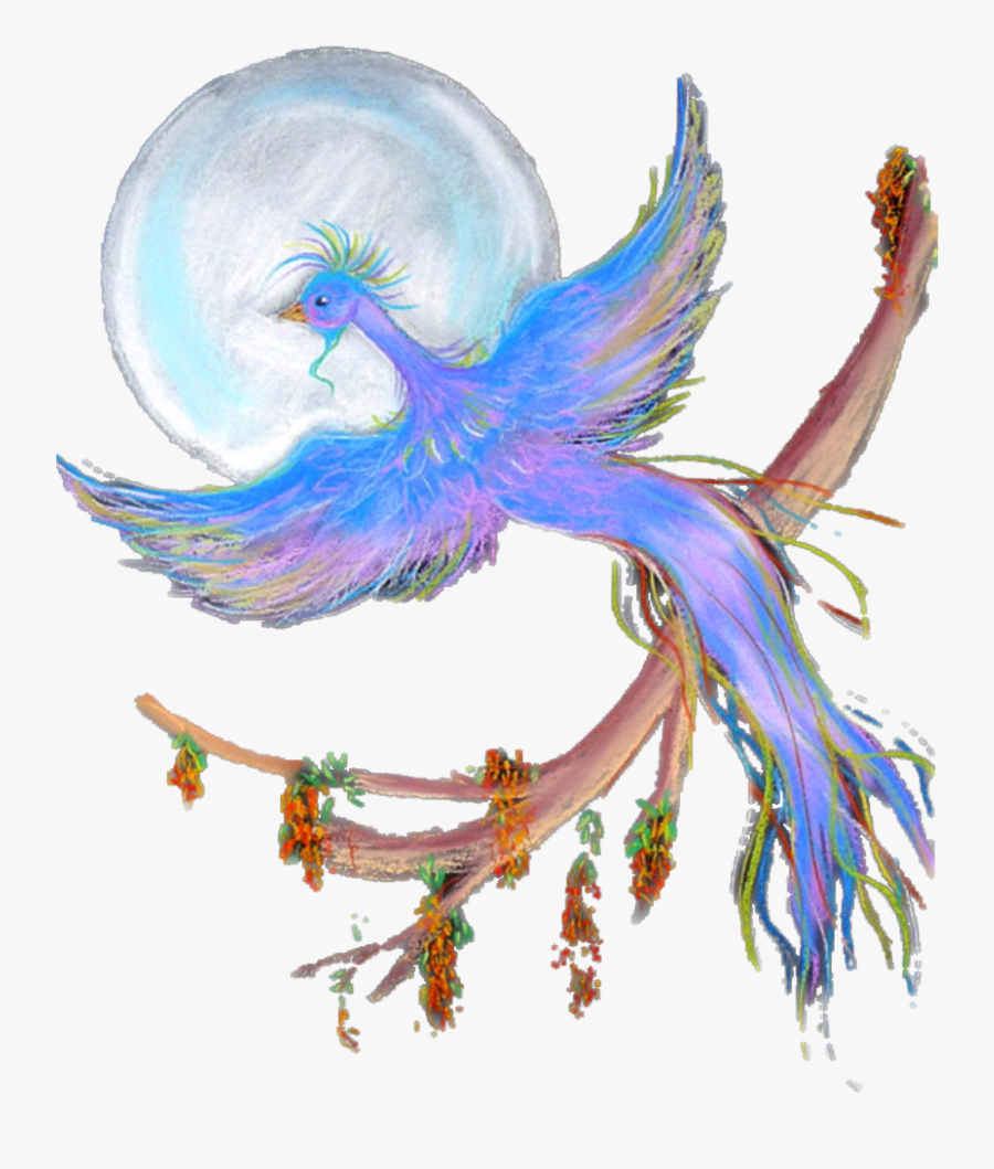 Transparent Pheonix Png - Illustration, Transparent Clipart