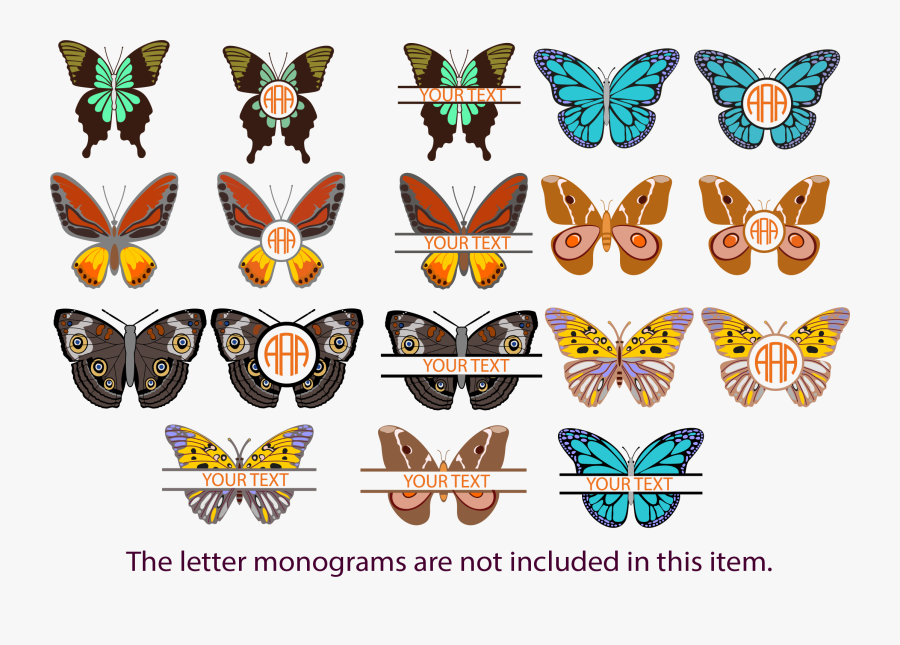 Papilio, Transparent Clipart