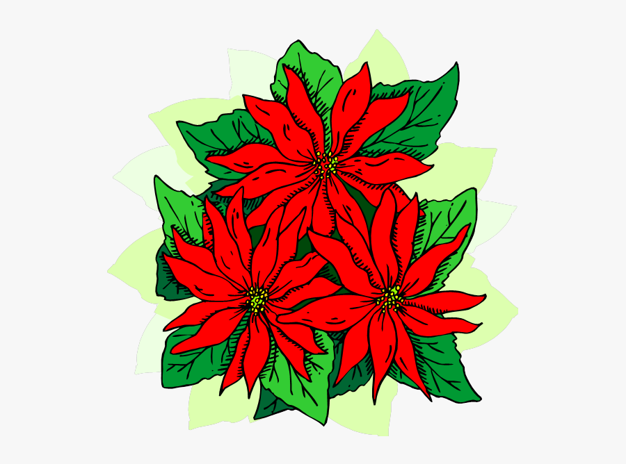 Poinsettia Clip Holiday Flower - Poinsettia, Transparent Clipart