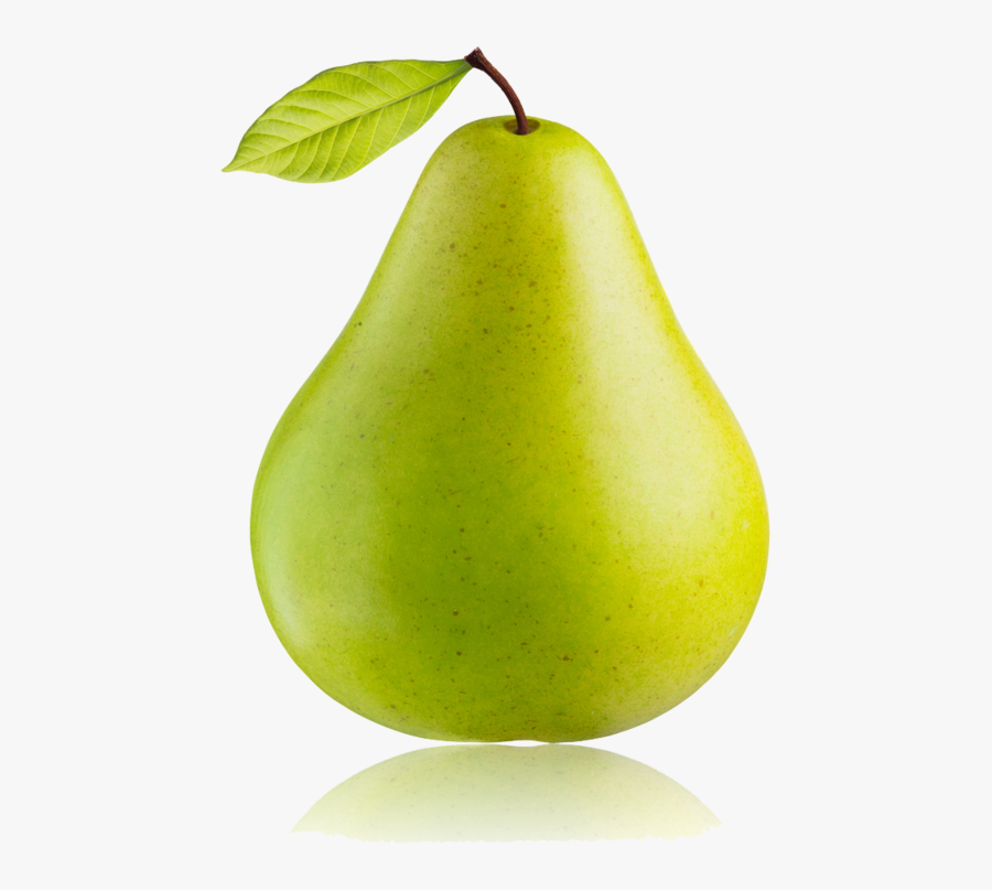Pear Tree Clipart, Transparent Clipart