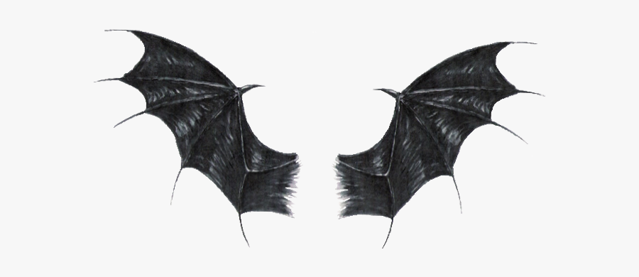 #stickergang #black #demon #dragon #wings #sweet - Black Dragon Wings Png, Transparent Clipart