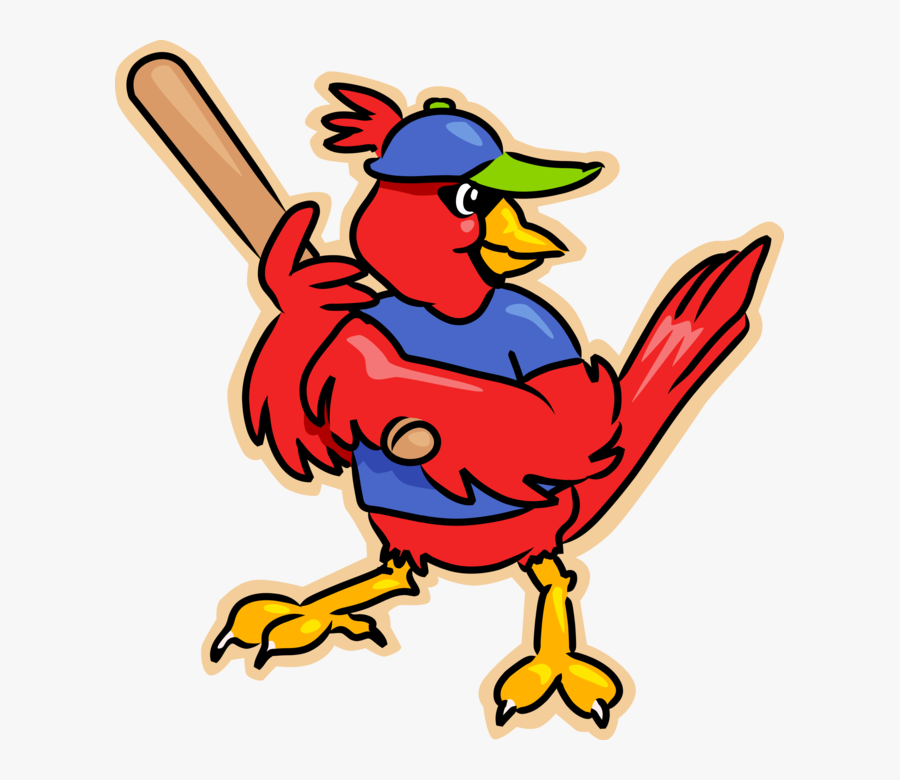Vector Illustration Of Red Cardinal Bird Plays Baseball - Cardinal Clip Art, Transparent Clipart