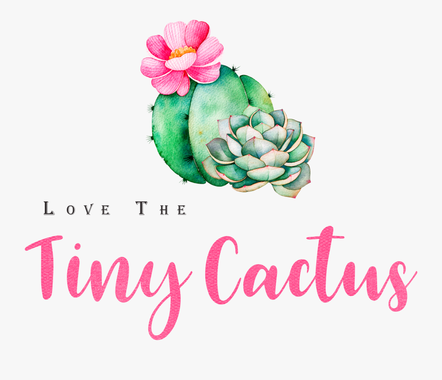 Cadre Floral, Transparent Clipart