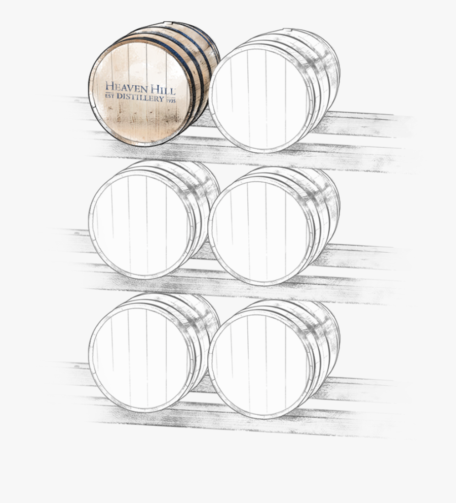 Circle, Transparent Clipart