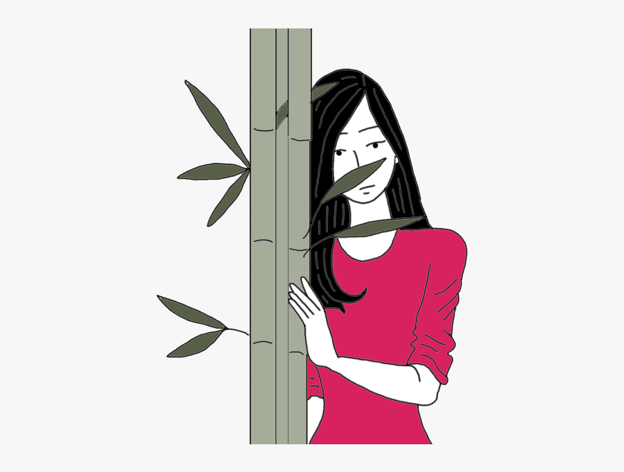 Bamboo - Illustration, Transparent Clipart