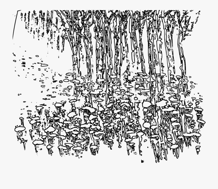 Drawing, Transparent Clipart