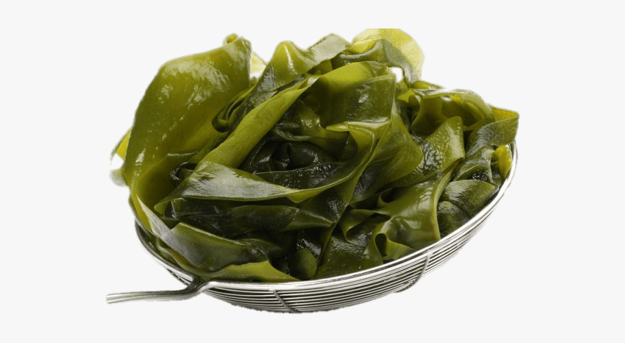 Fresh Seaweed Clip Arts - Seaweed Png, Transparent Clipart