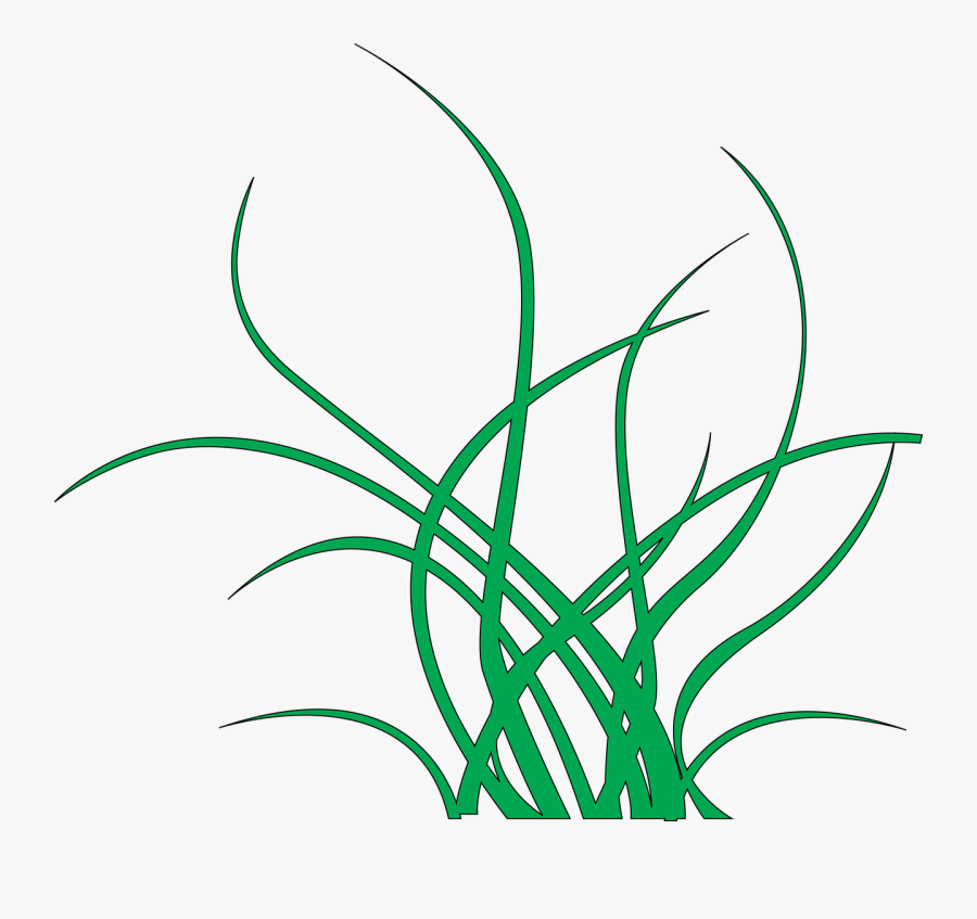 Seaweed Green Sea Free Picture - สาหร่าย Png, Transparent Clipart