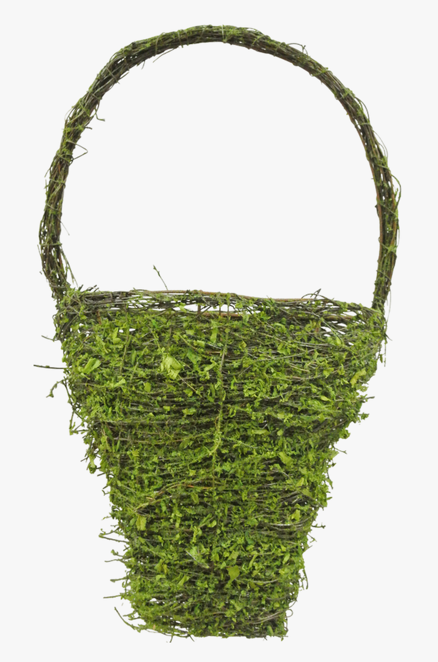 18 - Moss, Transparent Clipart