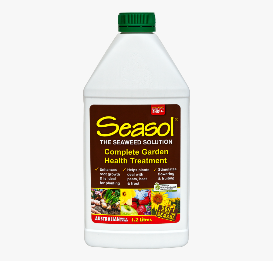 Seaweed Clipart Png, Transparent Clipart