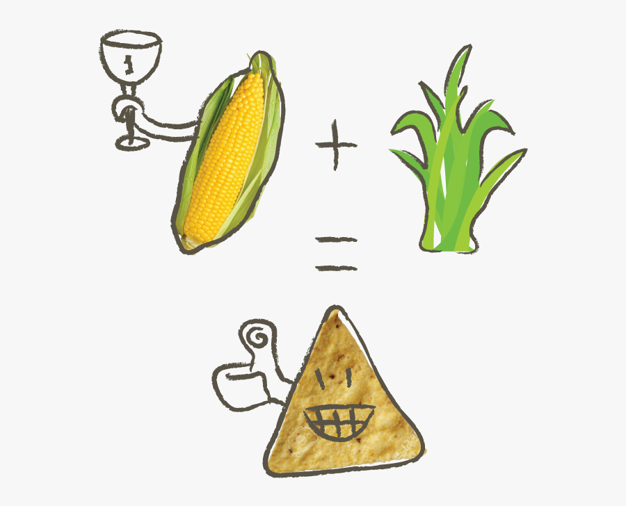 Seaweed, Transparent Clipart