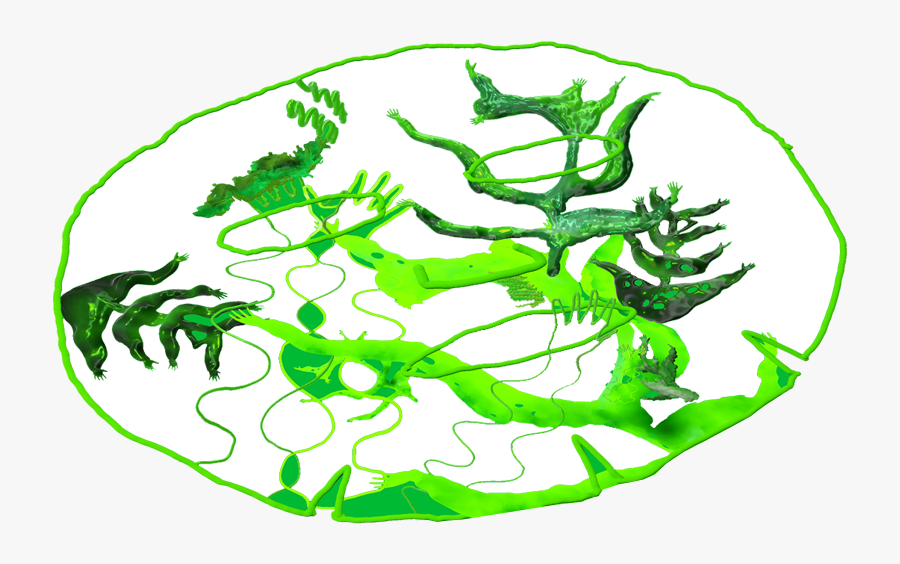 Circle, Transparent Clipart