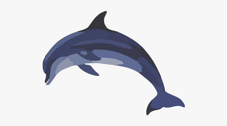 Common Bottlenose Clip Art - Bottlenose Dolphin Clipart, Transparent Clipart