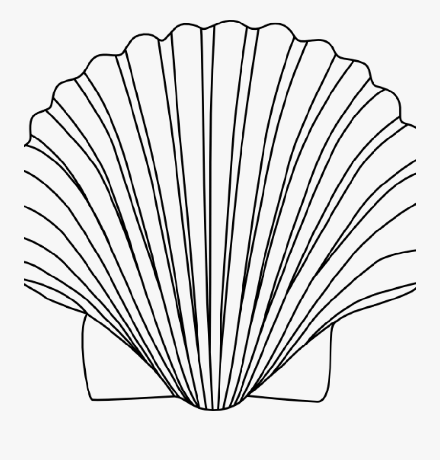 Shell Clipart 15 Shells Clipart Black And White For - Free Seashell Clipart Black And White, Transparent Clipart