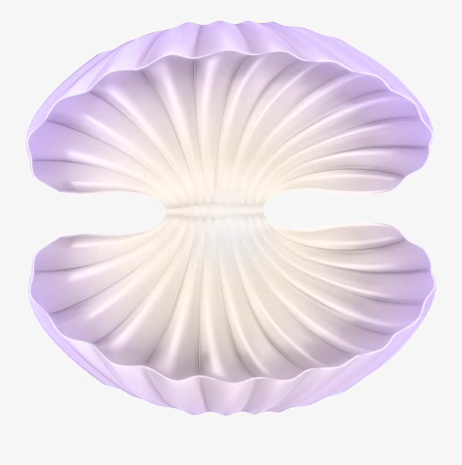 Png Open Clam Shell Clipart , Png Download - Scallop, Transparent Clipart