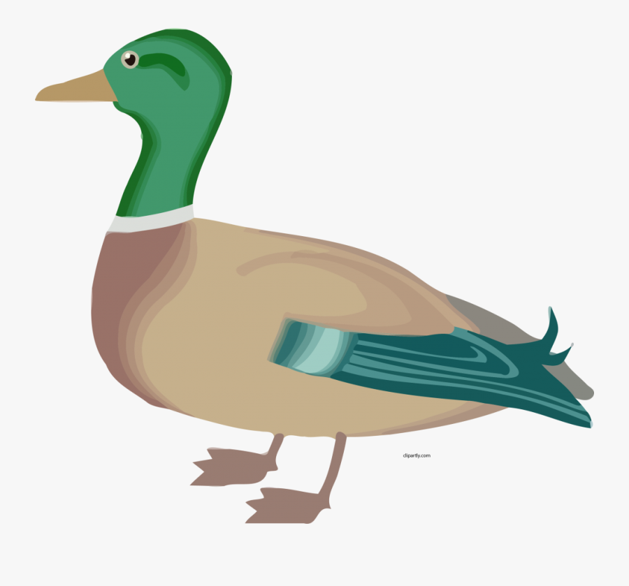 Farm Animal Duck Clipart, Transparent Clipart