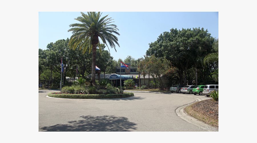 Clip Art Asphalt Lake - Attalea Speciosa, Transparent Clipart