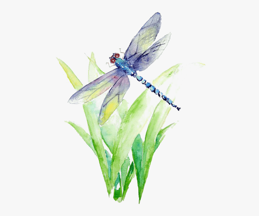 Blue And Purple Dragonfly Illustration Watercolor Painting - Watercolor Dragonfly Png, Transparent Clipart