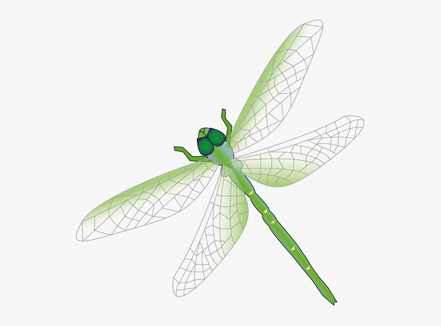 Cartoon Dragonfly Free Clipart - Dragon Fly Png Vector, Transparent Clipart
