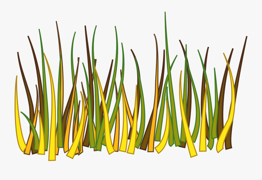 Transparent Vegetation Clipart - Big Grass Drawing, Transparent Clipart