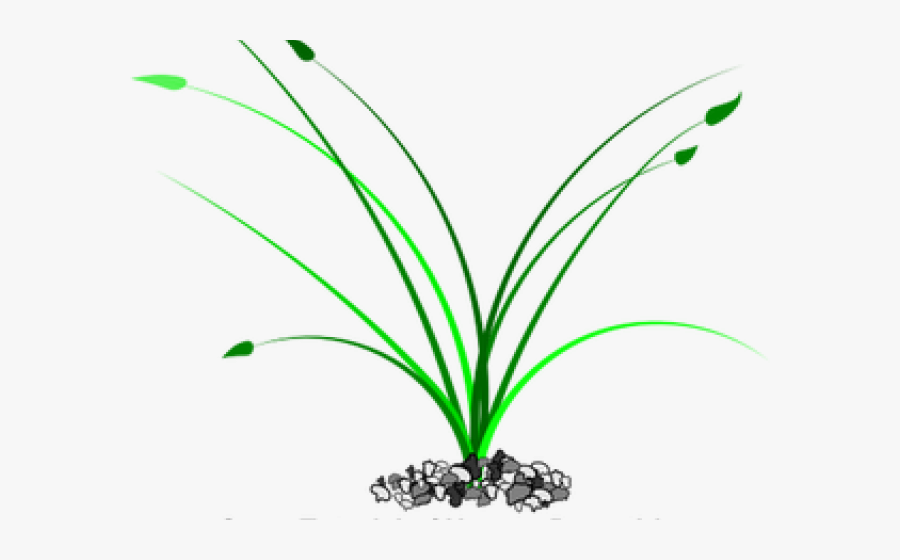 Transparent Stone Clipart, Transparent Clipart