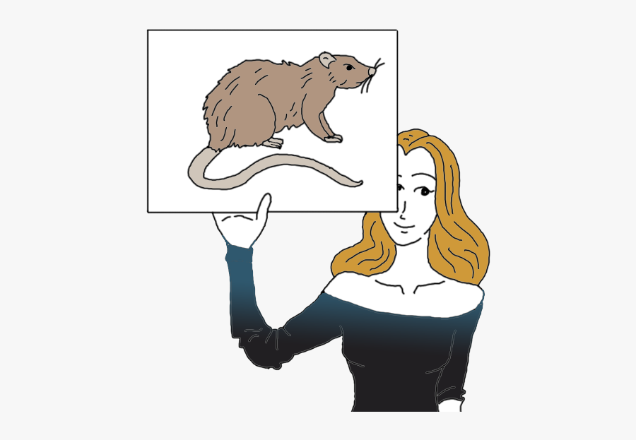 Vole Clipart Shrew - Rat Symbolism Auntyflo, Transparent Clipart