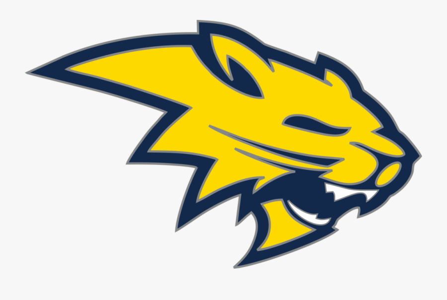 Neuqua Valley High School Mascot, Transparent Clipart