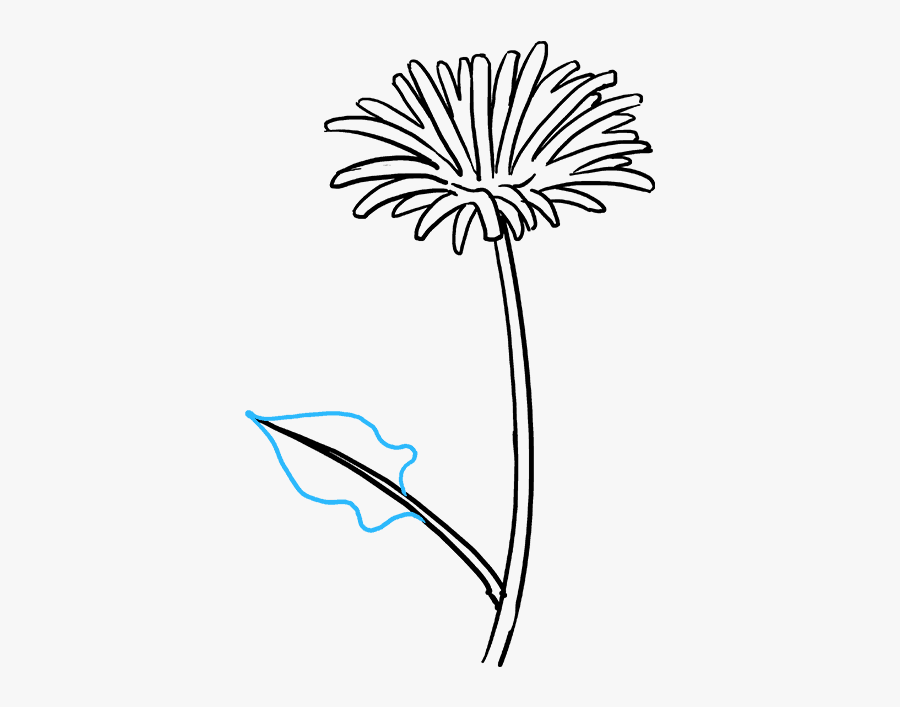 Stem Drawing Lotus Flower - Dandelion, Transparent Clipart