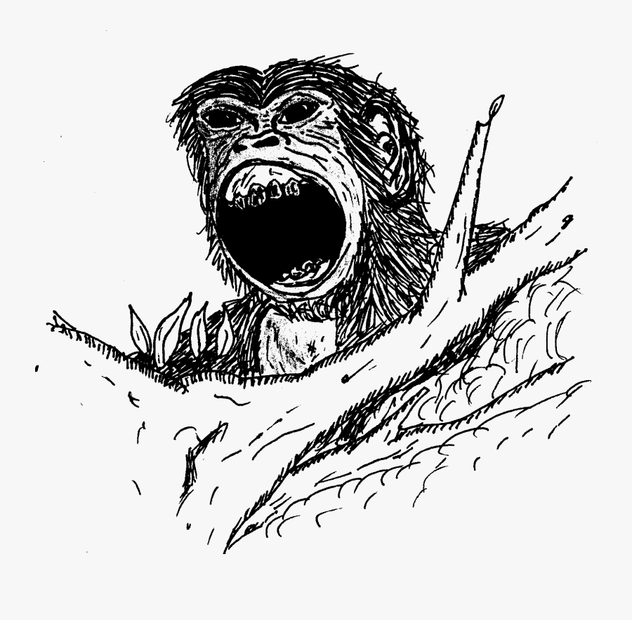 Bonobo Clipart Planet The Apes - Sketch, Transparent Clipart