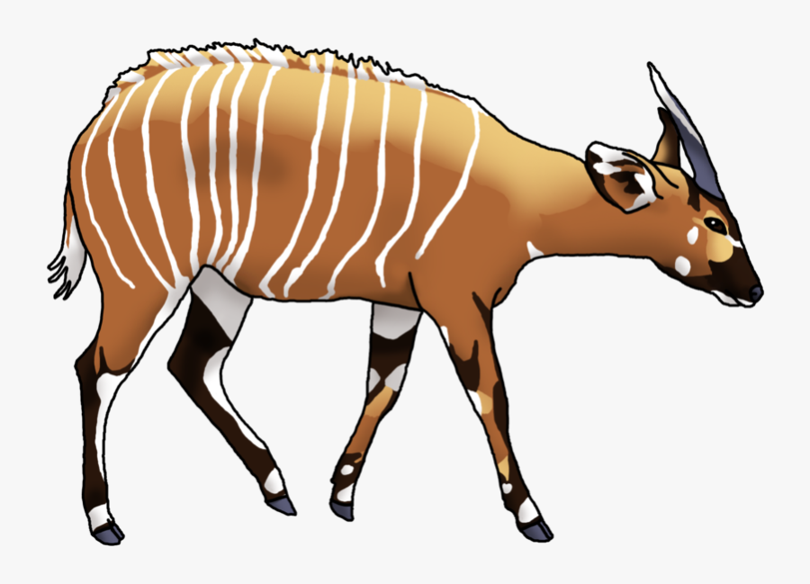 Antelope Bongo Drum Cartoon Drawing Clip Art - Bongo Animal Transparent Background, Transparent Clipart