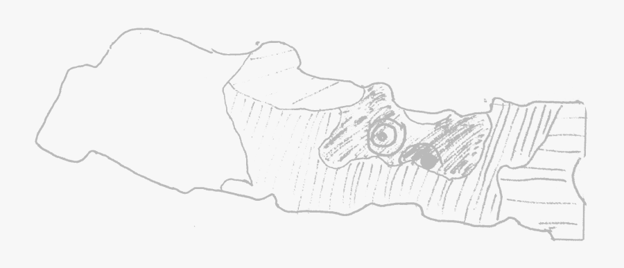 Sketch, Transparent Clipart