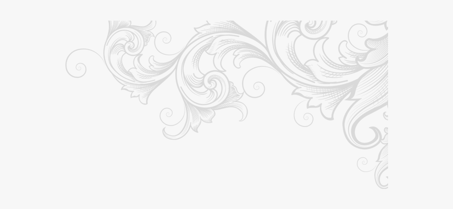 Sketch, Transparent Clipart