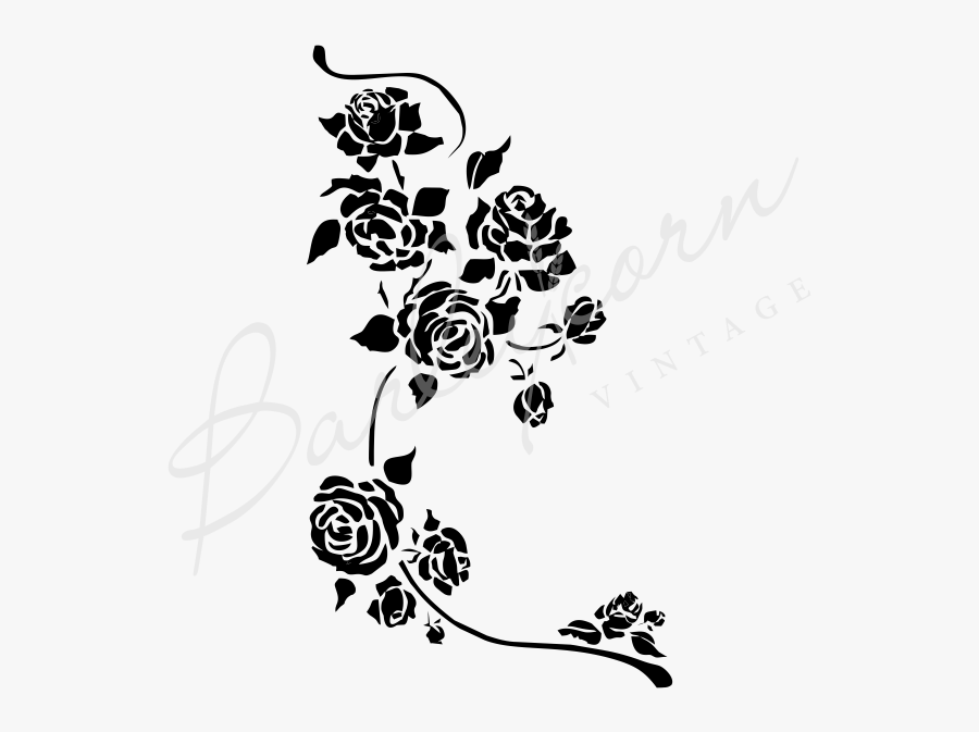 Garden Roses, Transparent Clipart