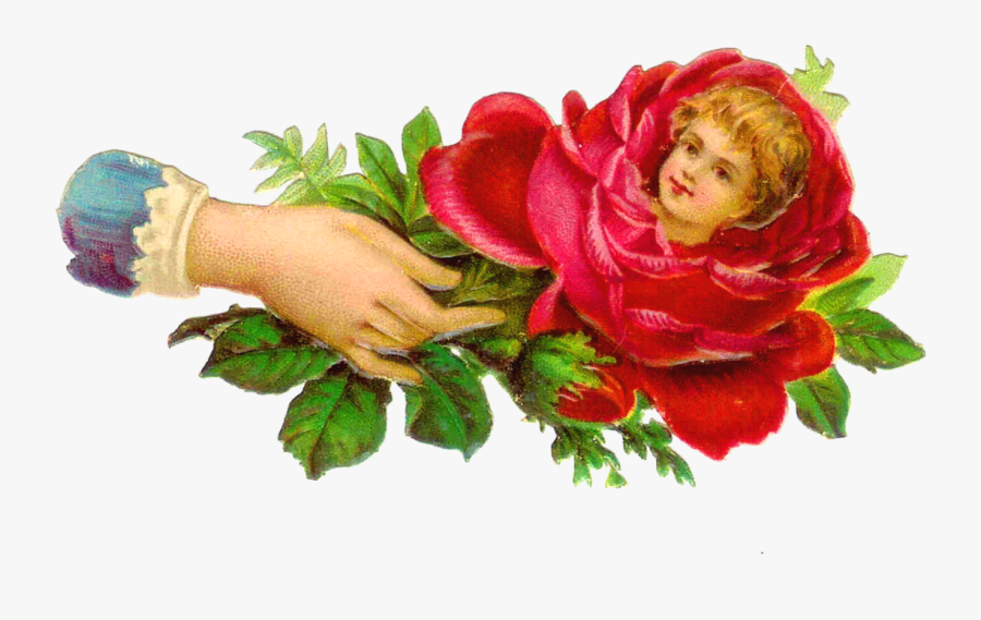 Victorian Photo Frames, Transparent Clipart