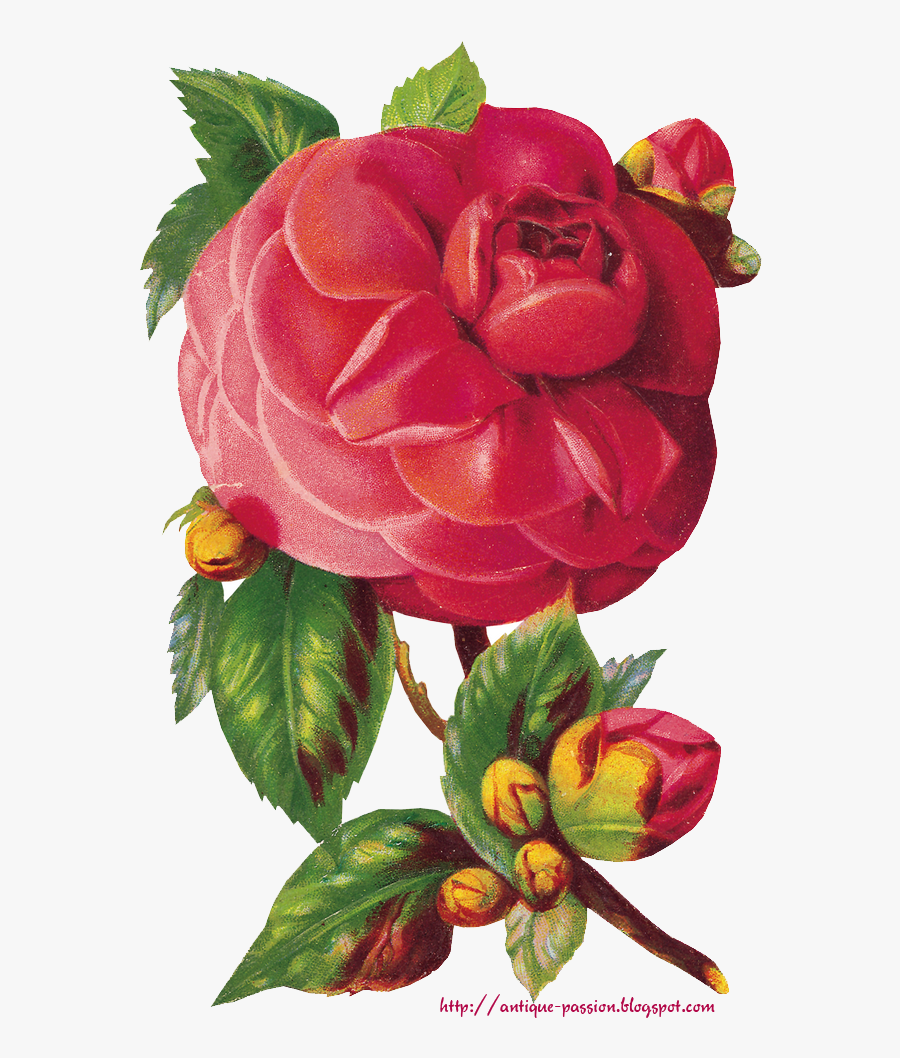 Элементы Для Творчества - Красивая Работа, Transparent Clipart