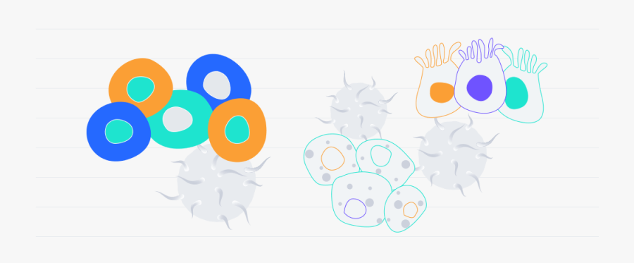 Illustration, Transparent Clipart