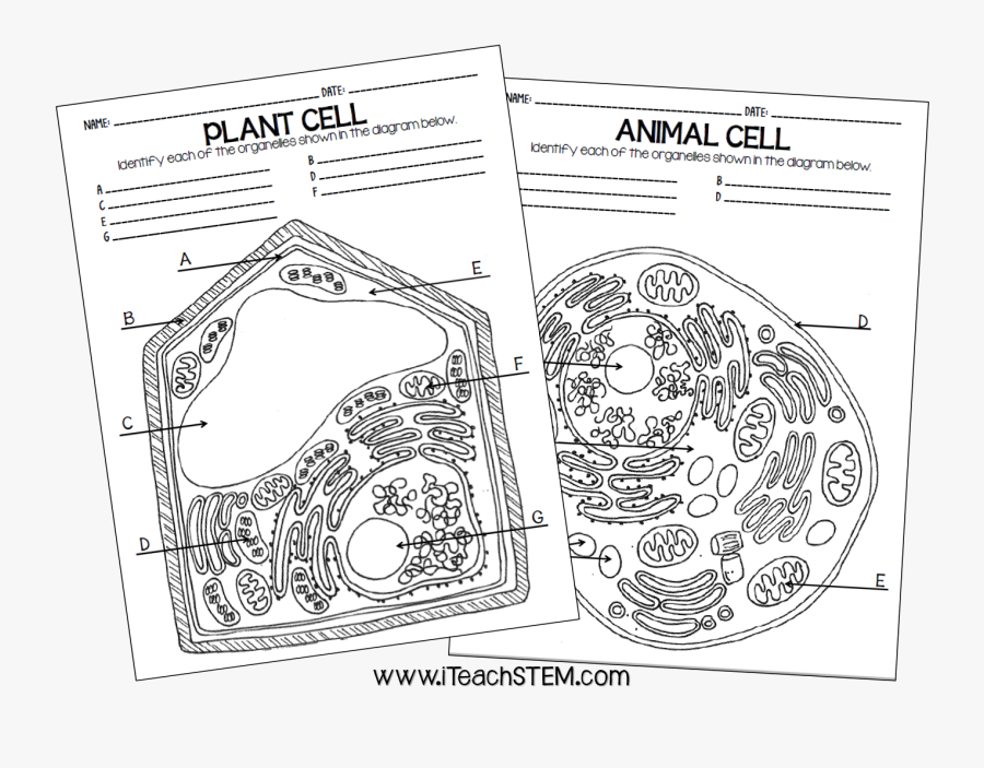 Drawing, Transparent Clipart