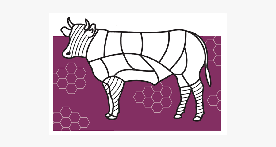 Indian Rhinoceros, Transparent Clipart