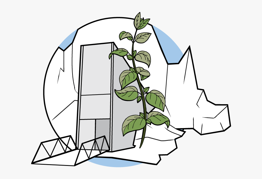 Clip Art, Transparent Clipart