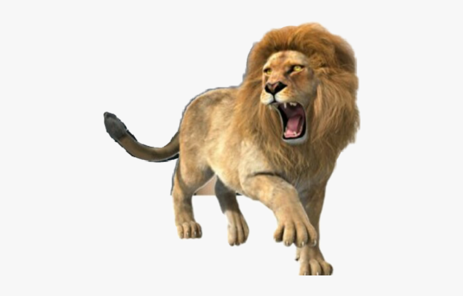 #lion #roar #roaringlion #animals #strength #power - Lion Roaring Full Body, Transparent Clipart