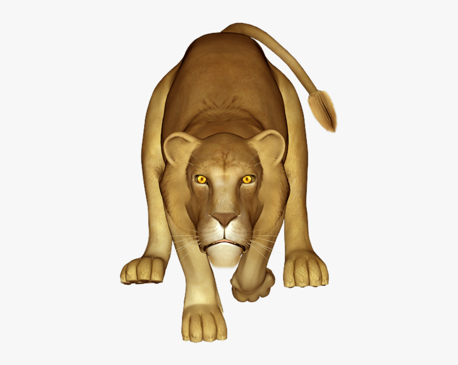 Masai Lion, Transparent Clipart