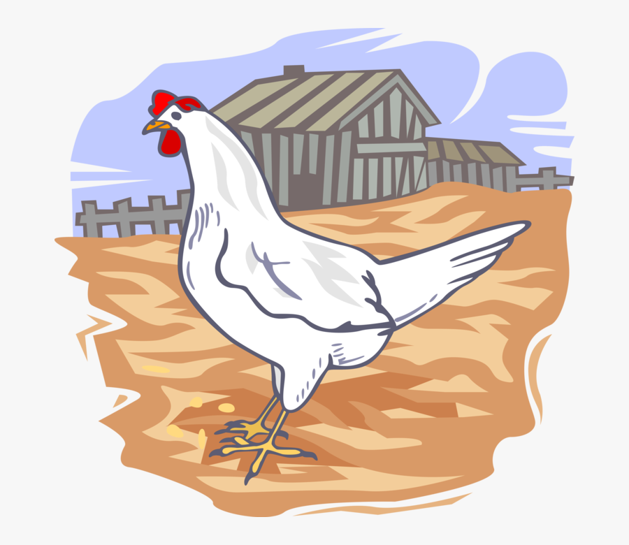 Transparent Chicken Coop Clipart - External Parasites Of Poultry, Transparent Clipart