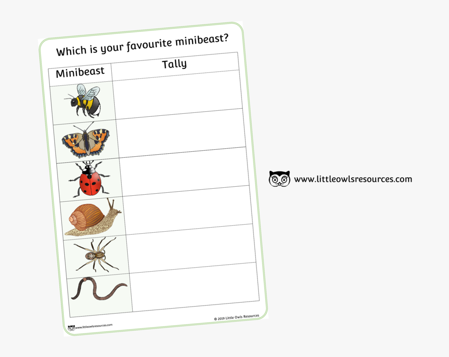 Minibeasts Tally Cover, Transparent Clipart