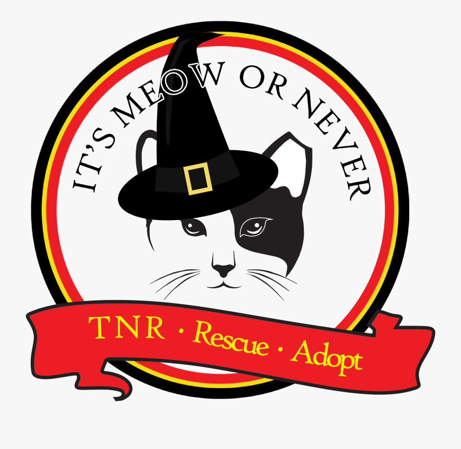 Scaredy Cat Bike Ride, Transparent Clipart