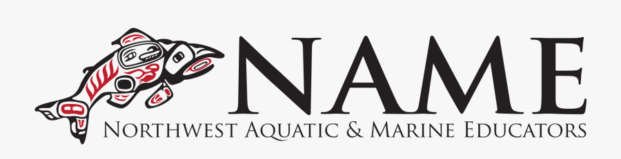 Name, Transparent Clipart