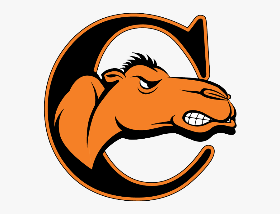 Campbell - Campbell Fighting Camels Logo, Transparent Clipart